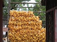 2009 China 620